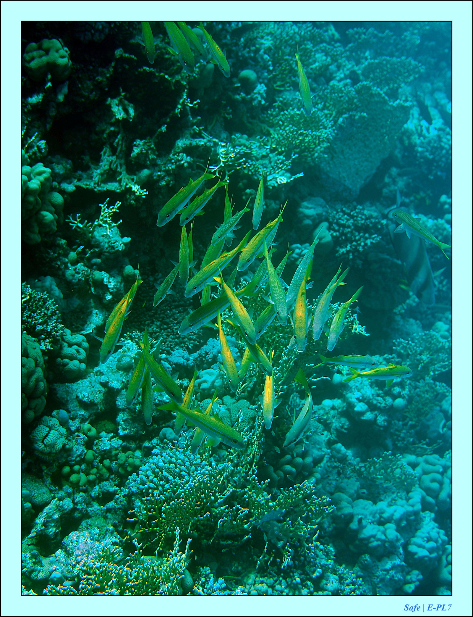 Hurghada - Aout 2021 - 035